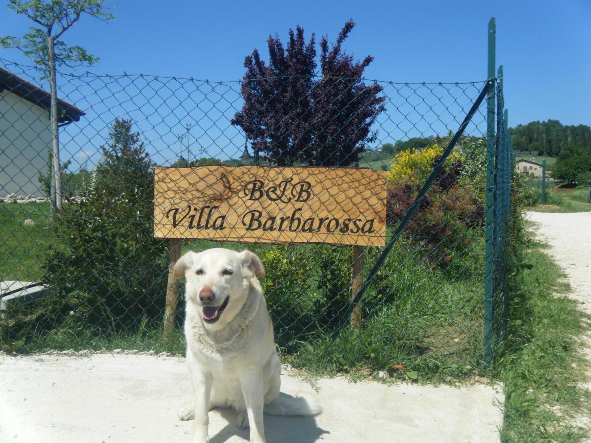 B&B Villa Barbarossa Petrignano Eksteriør bilde